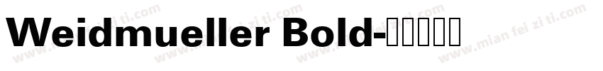 Weidmueller Bold字体转换